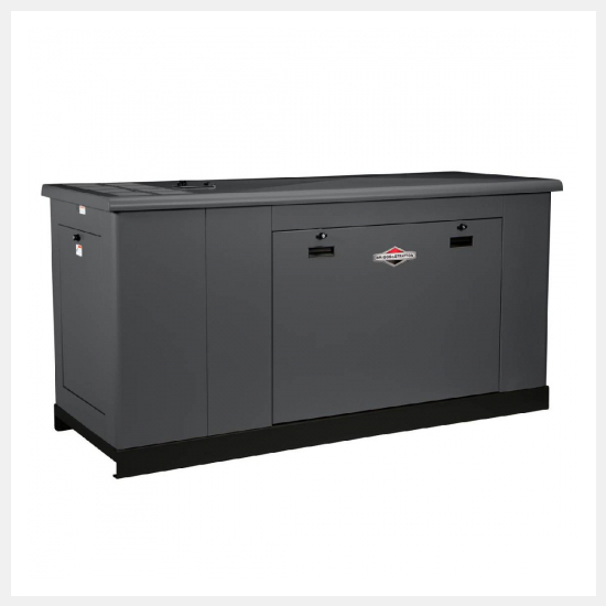 Генератор газовый Briggs &amp; Stratton G500